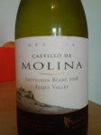 Castillo de Molina_Sauvignon Blanc