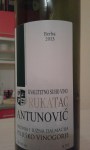 Antunović_Rukatac_2013
