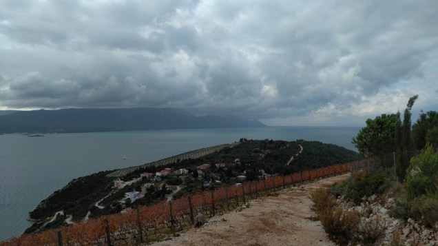 volarevic_pogled-s-vinograda-2