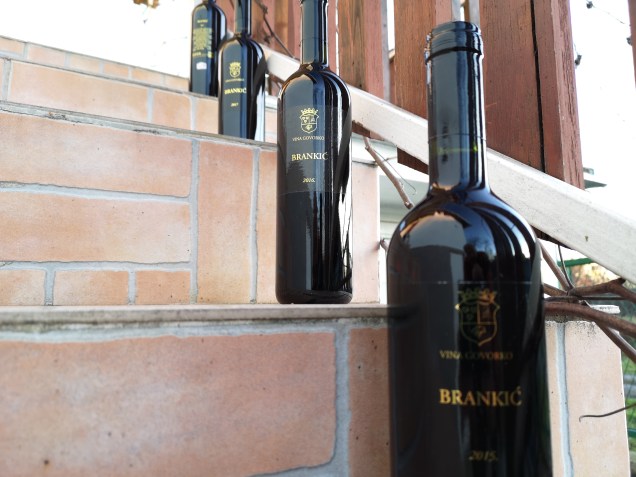 Govorko Brankić vertikala